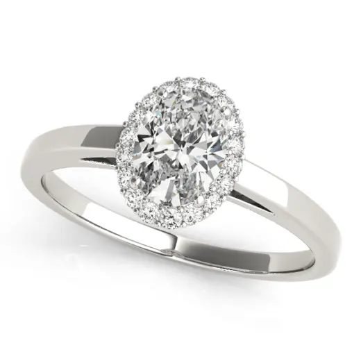 The Jane Halo Engagement Ring