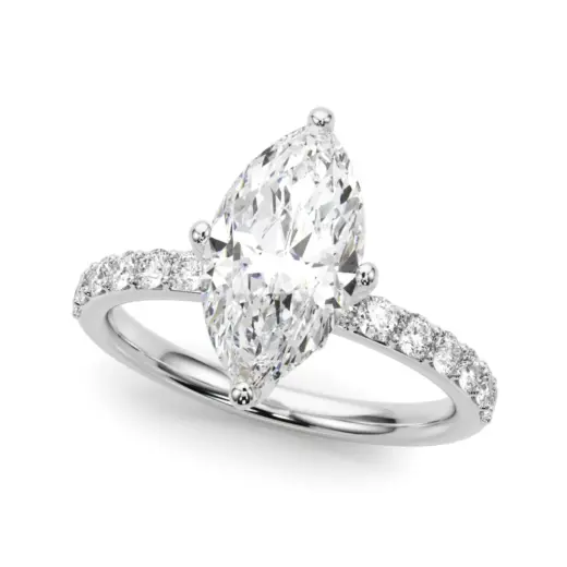The Claudia Hidden Halo Engagement Ring