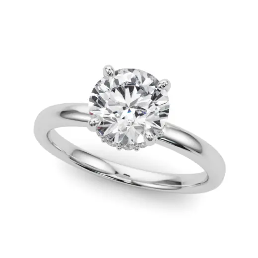 The Francesca Hidden Halo Engagement Ring
