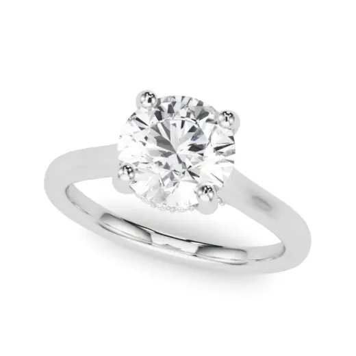 The Ximena Hidden Halo Engagement Ring