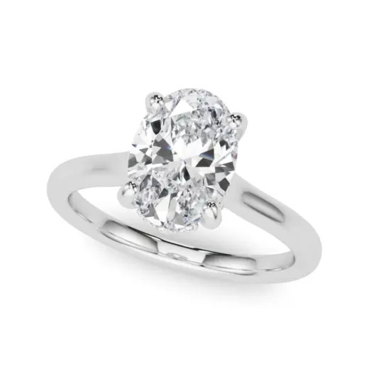 The Vanessa Hidden Halo Engagement Ring