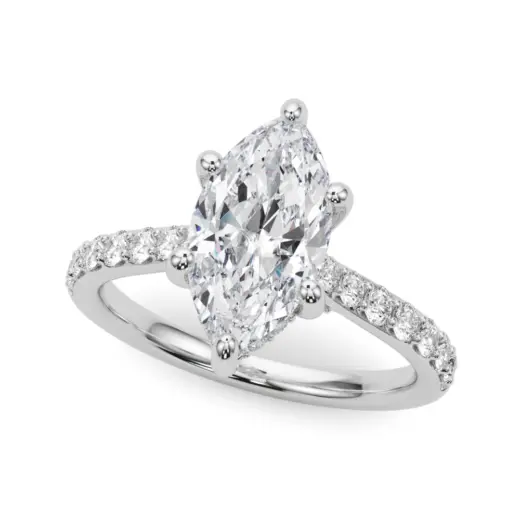 The Wren Hidden Halo Engagement Ring