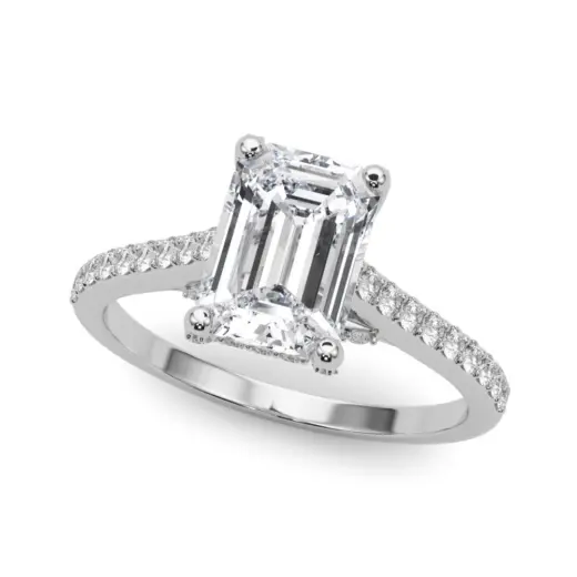 The Savannah Hidden Halo Engagement Ring